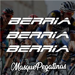 Kit Pegatinas Cuadro Bicicleta Berria 1
